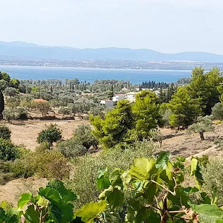 Panoramic View Eretria (Evia)